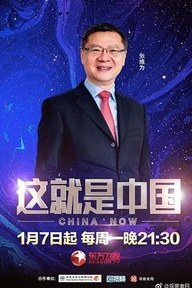 代码seo是什么意思